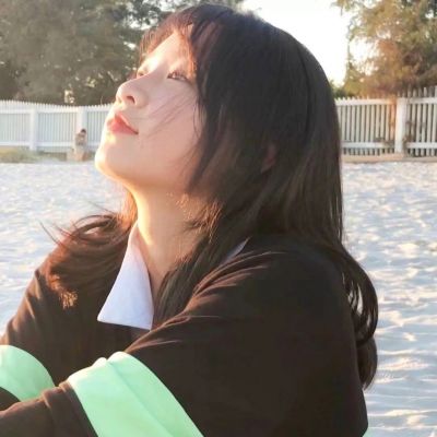 朵拉救助流浪狗